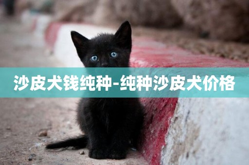 沙皮犬錢純種-純種沙皮犬價格