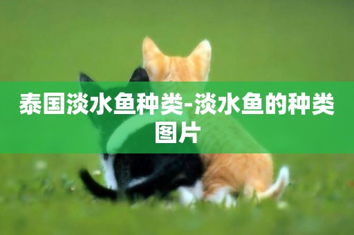 泰國淡水魚種類-淡水魚的種類圖片