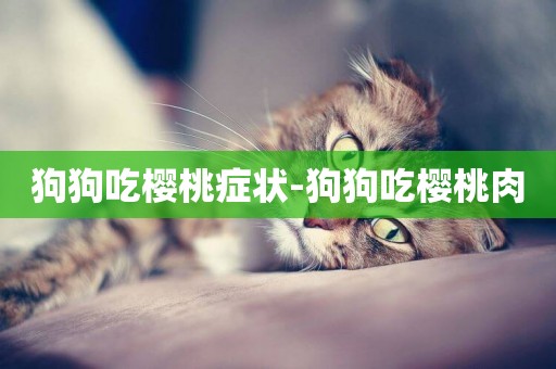 狗狗吃櫻桃癥狀-狗狗吃櫻桃肉