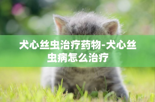 犬心絲蟲治療藥物-犬心絲蟲病怎么治療