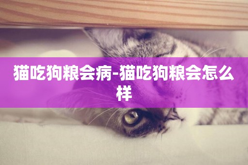 貓吃狗糧會病-貓吃狗糧會怎么樣
