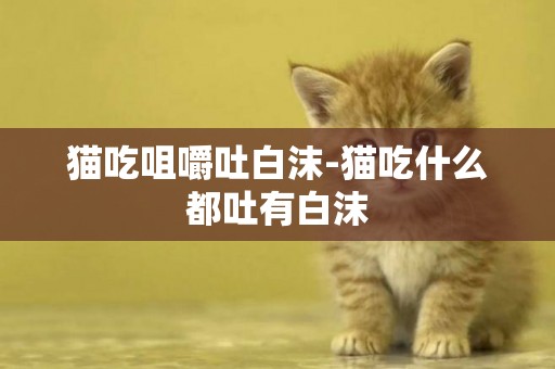 貓吃咀嚼吐白沫-貓吃什么都吐有白沫