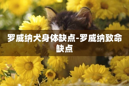 羅威納犬身體缺點-羅威納致命缺點
