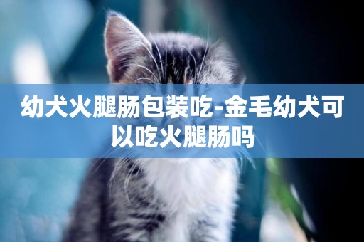 幼犬火腿腸包裝吃-金毛幼犬可以吃火腿腸嗎