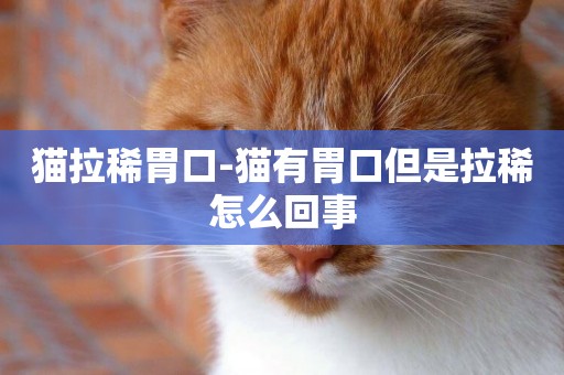 貓拉稀胃口-貓有胃口但是拉稀怎么回事