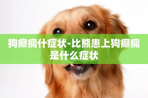 狗癲癇什癥狀-比熊患上狗癲癇是什么癥狀