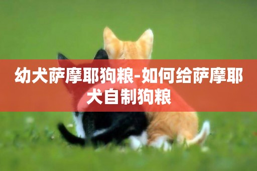 幼犬薩摩耶狗糧-如何給薩摩耶犬自制狗糧
