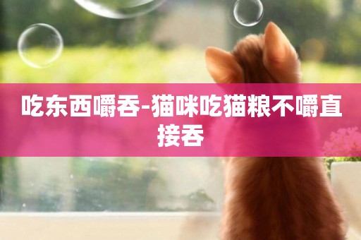 吃東西嚼吞-貓咪吃貓糧不嚼直接吞