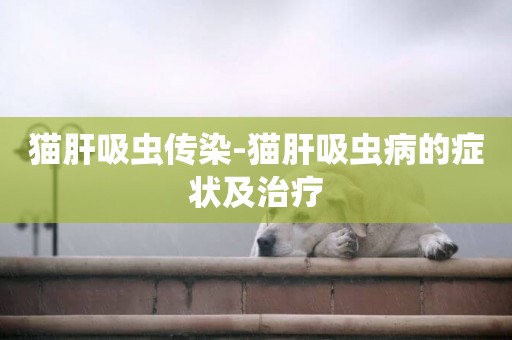 貓肝吸蟲傳染-貓肝吸蟲病的癥狀及治療