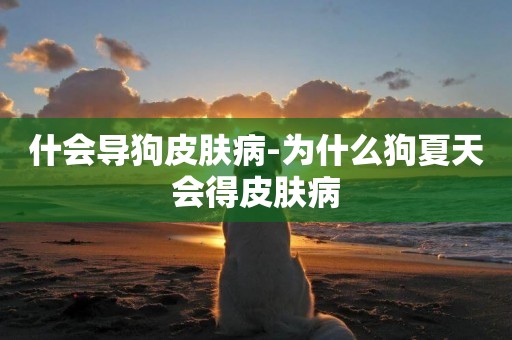 什會導狗皮膚病-為什么狗夏天會得皮膚病