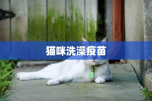 貓咪洗澡疫苗