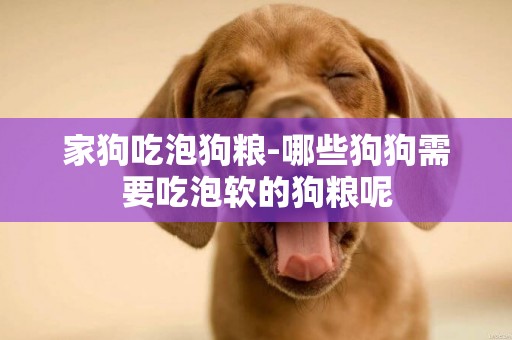 家狗吃泡狗糧-哪些狗狗需要吃泡軟的狗糧呢