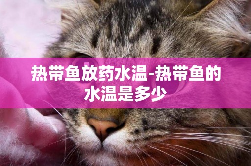 熱帶魚放藥水溫-熱帶魚的水溫是多少