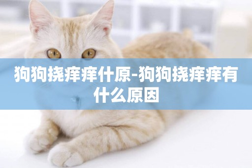 狗狗撓癢癢什原-狗狗撓癢癢有什么原因