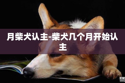 月柴犬認主-柴犬幾個月開始認主