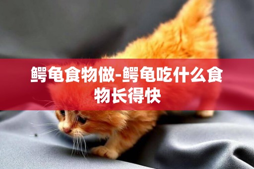 鱷龜食物做-鱷龜吃什么食物長得快