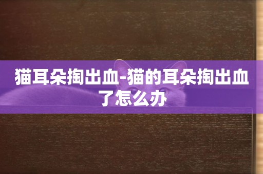 貓耳朵掏出血-貓的耳朵掏出血了怎么辦