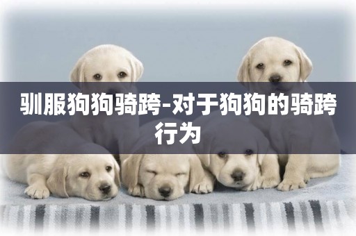 馴服狗狗騎跨-對于狗狗的騎跨行為