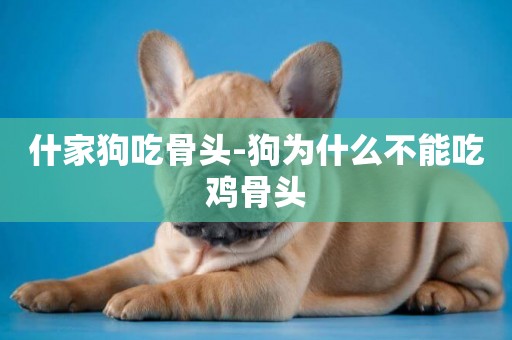 什家狗吃骨頭-狗為什么不能吃雞骨頭