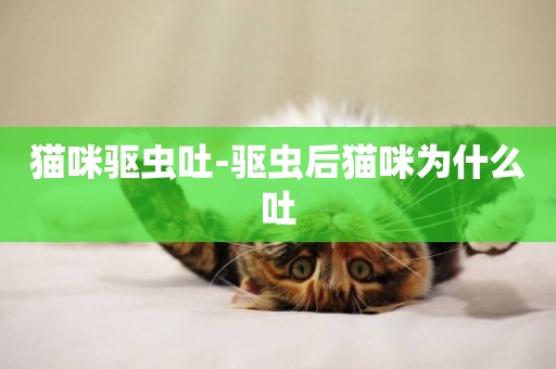 貓咪驅蟲吐-驅蟲后貓咪為什么吐