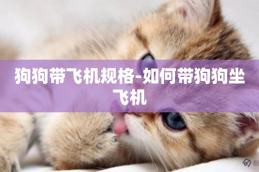 狗狗帶飛機規格-如何帶狗狗坐飛機