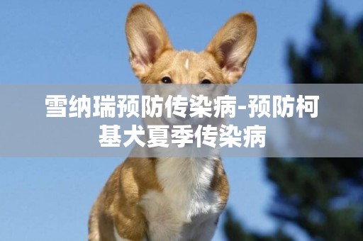 雪納瑞預防傳染病-預防柯基犬夏季傳染病
