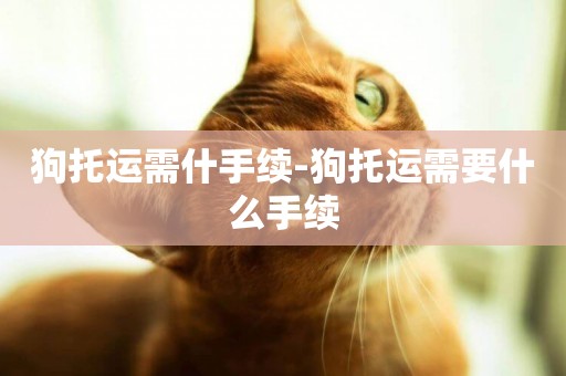 狗托運需什手續-狗托運需要什么手續