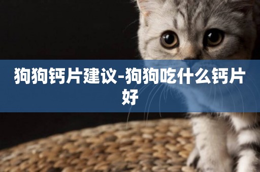 狗狗鈣片建議-狗狗吃什么鈣片好