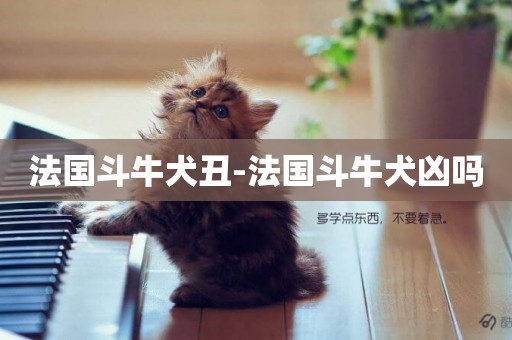 法國斗牛犬丑-法國斗牛犬兇嗎