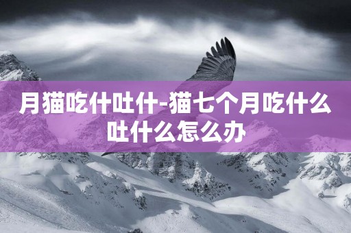 月貓吃什吐什-貓七個月吃什么吐什么怎么辦