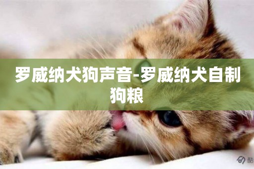 羅威納犬狗聲音-羅威納犬自制狗糧
