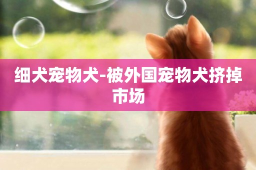 細犬寵物犬-被外國寵物犬擠掉市場