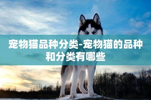 寵物貓品種分類-寵物貓的品種和分類有哪些