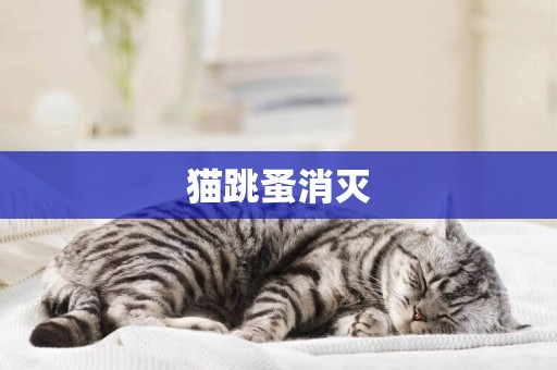 貓跳蚤消滅