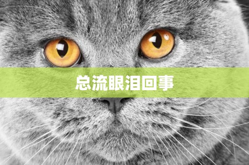 總流眼淚回事
