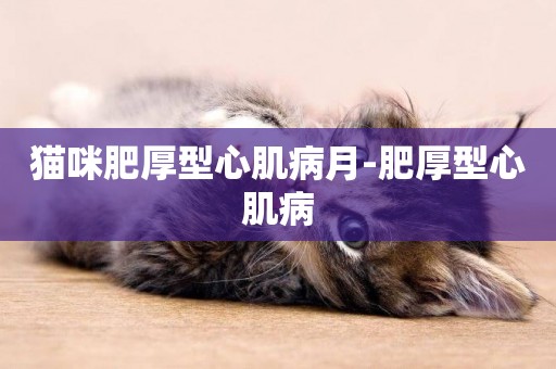貓咪肥厚型心肌病月-肥厚型心肌病