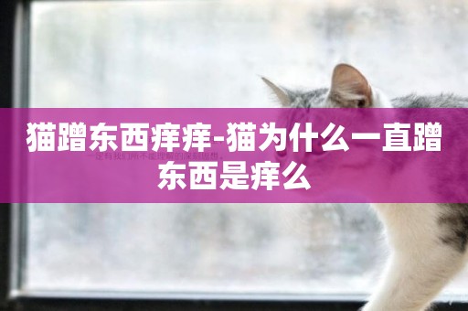 貓蹭東西癢癢-貓為什么一直蹭東西是癢么