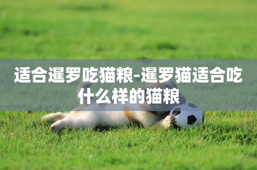 適合暹羅吃貓糧-暹羅貓適合吃什么樣的貓糧