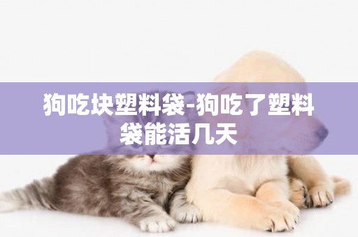 狗吃塊塑料袋-狗吃了塑料袋能活幾天