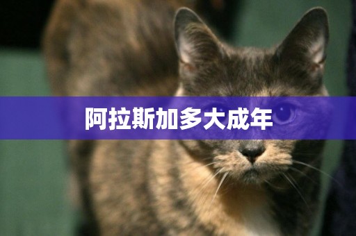 阿拉斯加多大成年