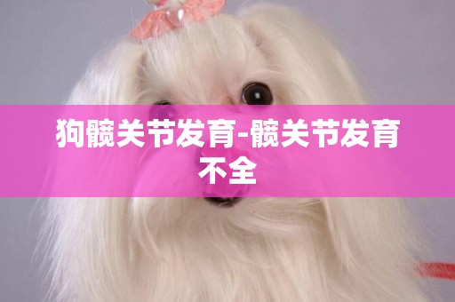 狗髖關節發育-髖關節發育不全