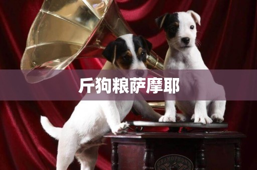 斤狗糧薩摩耶