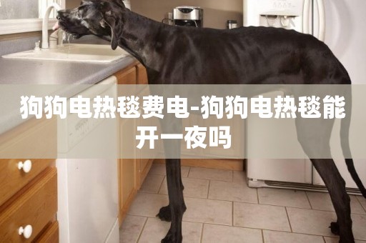 狗狗電熱毯費電-狗狗電熱毯能開一夜嗎