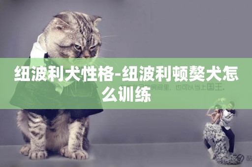 紐波利犬性格-紐波利頓獒犬怎么訓練