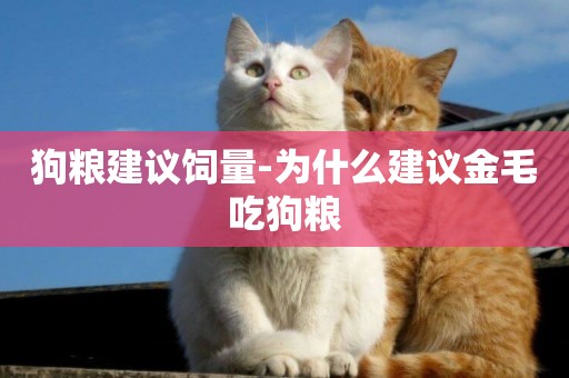 狗糧建議飼量-為什么建議金毛吃狗糧