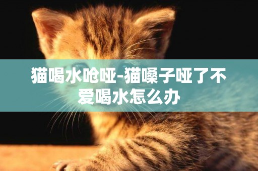 貓喝水嗆啞-貓嗓子啞了不愛喝水怎么辦