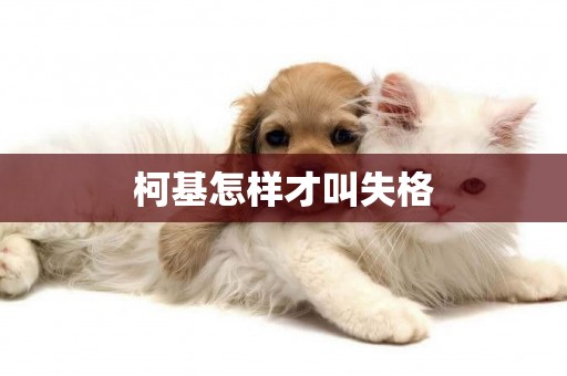 柯基怎樣才叫失格