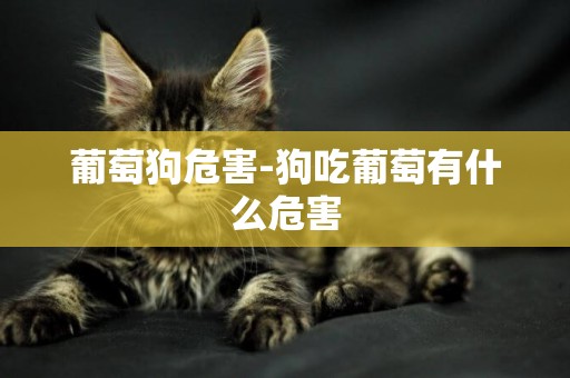 葡萄狗危害-狗吃葡萄有什么危害