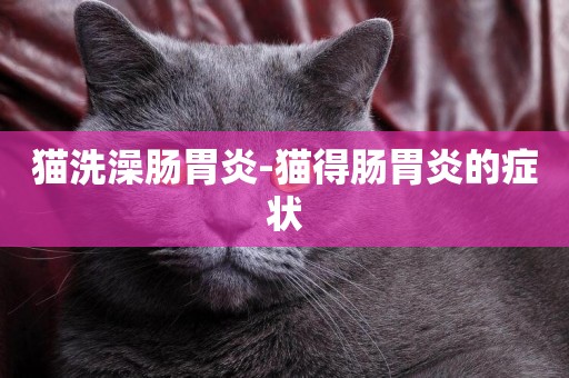 貓洗澡腸胃炎-貓得腸胃炎的癥狀