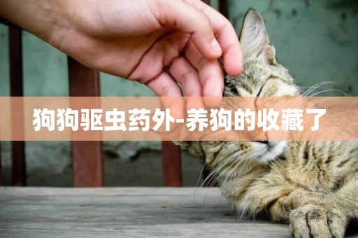 狗狗驅蟲藥外-養狗的收藏了